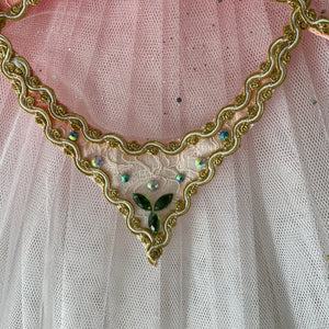 Professional Pink Sleeping Beauty Princess Flower Fairy Dewdrop Ballet TuTu Costume Tutu -DFDEW