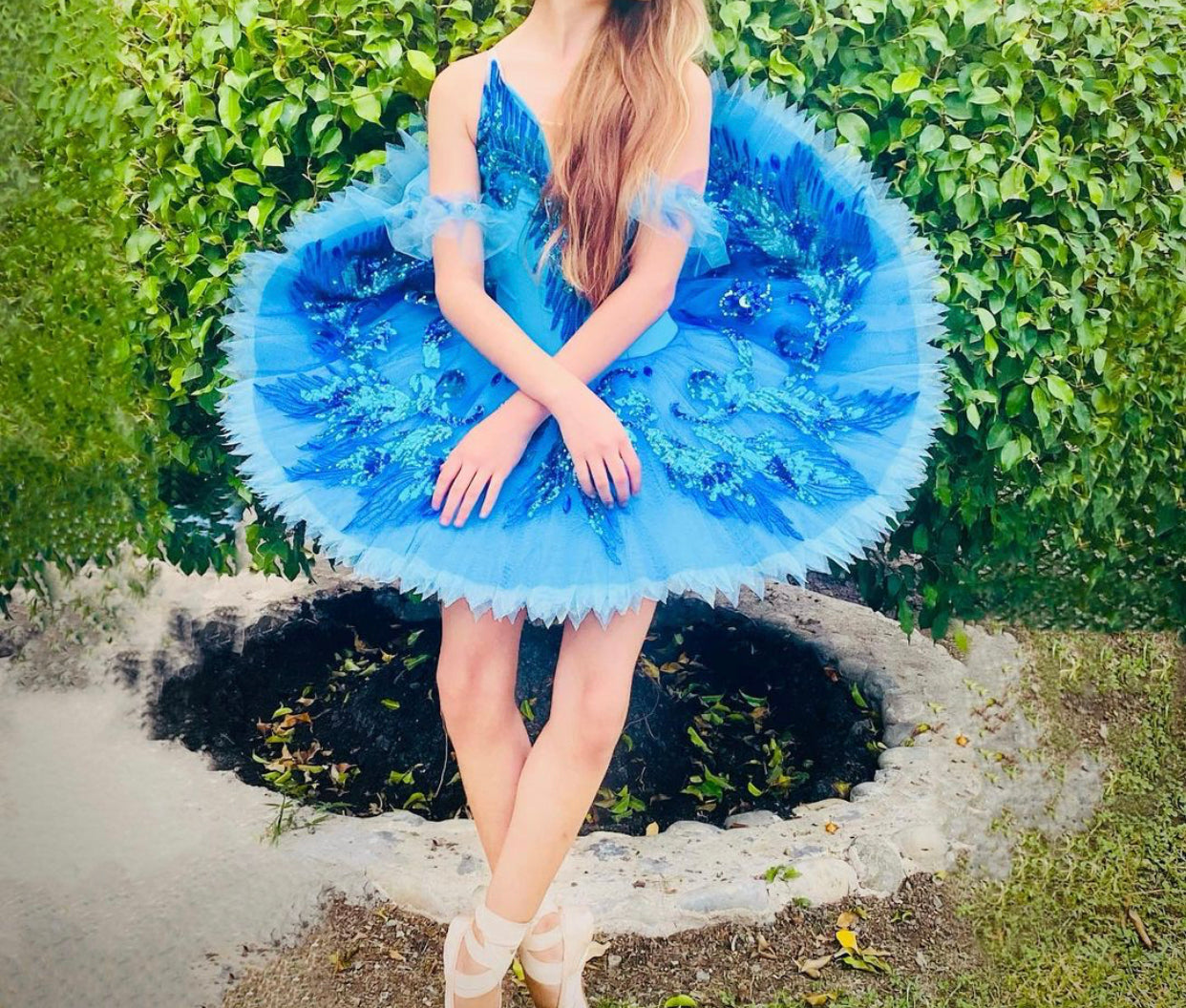 Professional Ballet Costume Blue Bird Princess Florine Ballet Stage Costume Classical Platter Tutu YAGP Dance wear