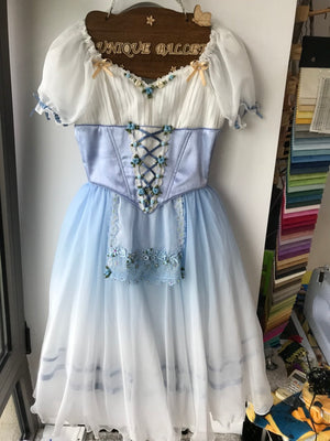 High-end 2 Pieces Professional Blue Gradient Giselle Peasant Ballet Long Romantic Tutu Dress YAGP TuTu Costume-HRGSLBLU