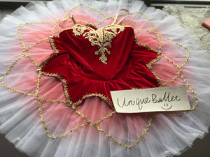 Professional Paquita Sleeping Beauty Temperament Fairy Red Classic Pullover Ballet Platter TuTu Costume