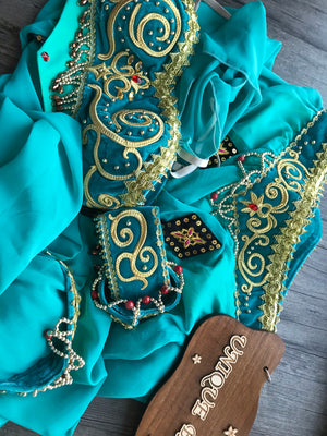 2 Pieces Aqua Green Arabian Dance La Bayadere Nikija Princess Jasmine  Indian Crop Top and Pants Ballet Costume Set