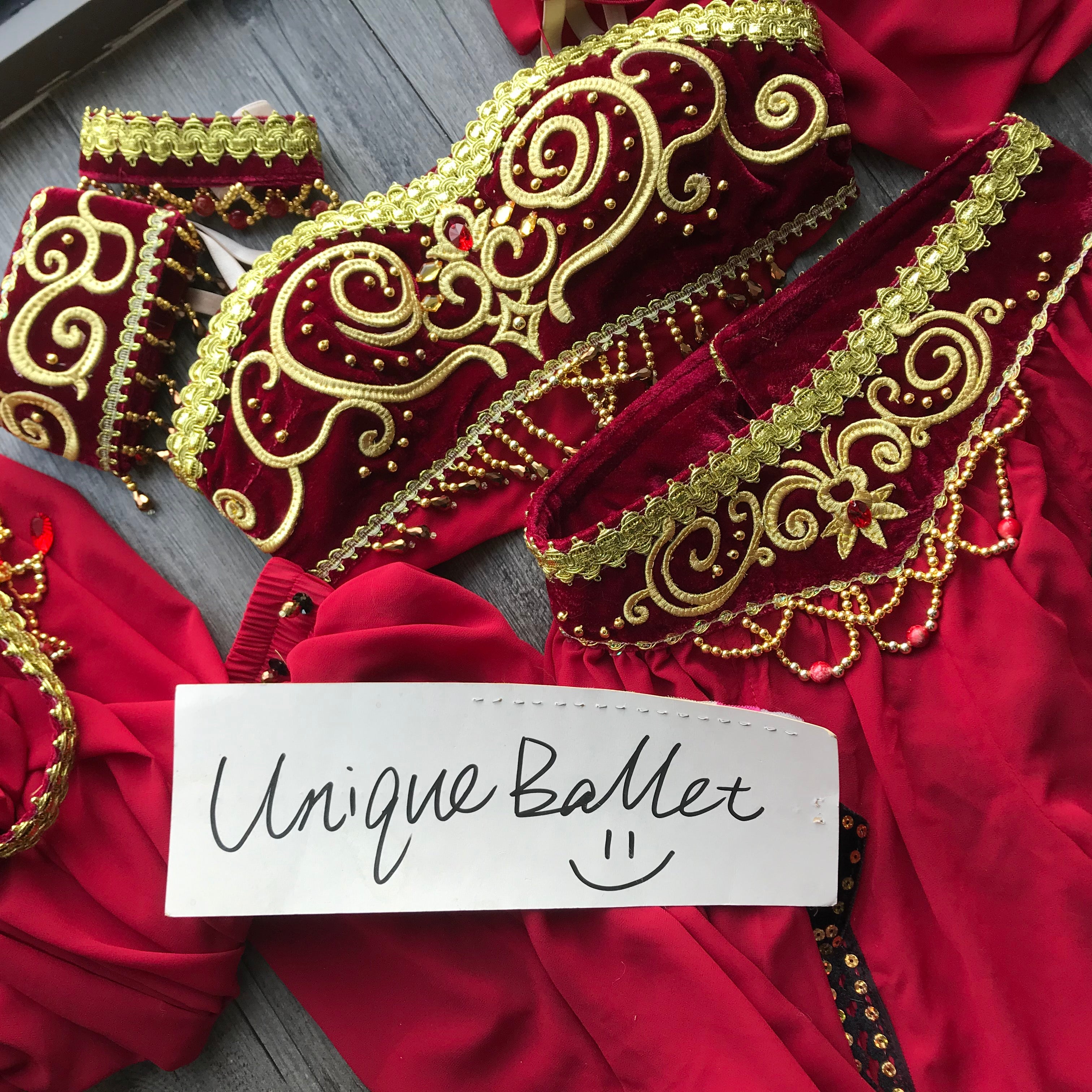 2 Pieces Burgandy Win Red Arabian Dance La Bayadere Nikija Indian Crop Top and Pants Ballet Costume