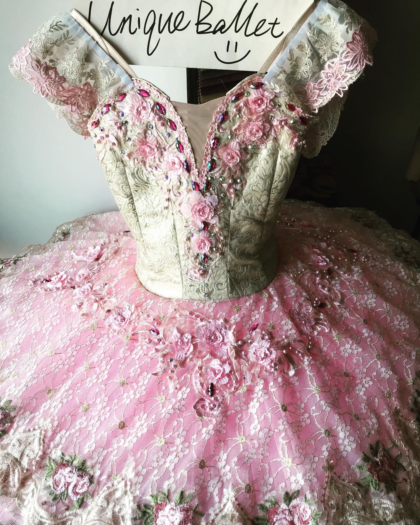 Professional Pink Sleeping Beauty Princess Aurora Classical Ballet TuTu Costume With Hooks YAGP Stage Performance Dance wear