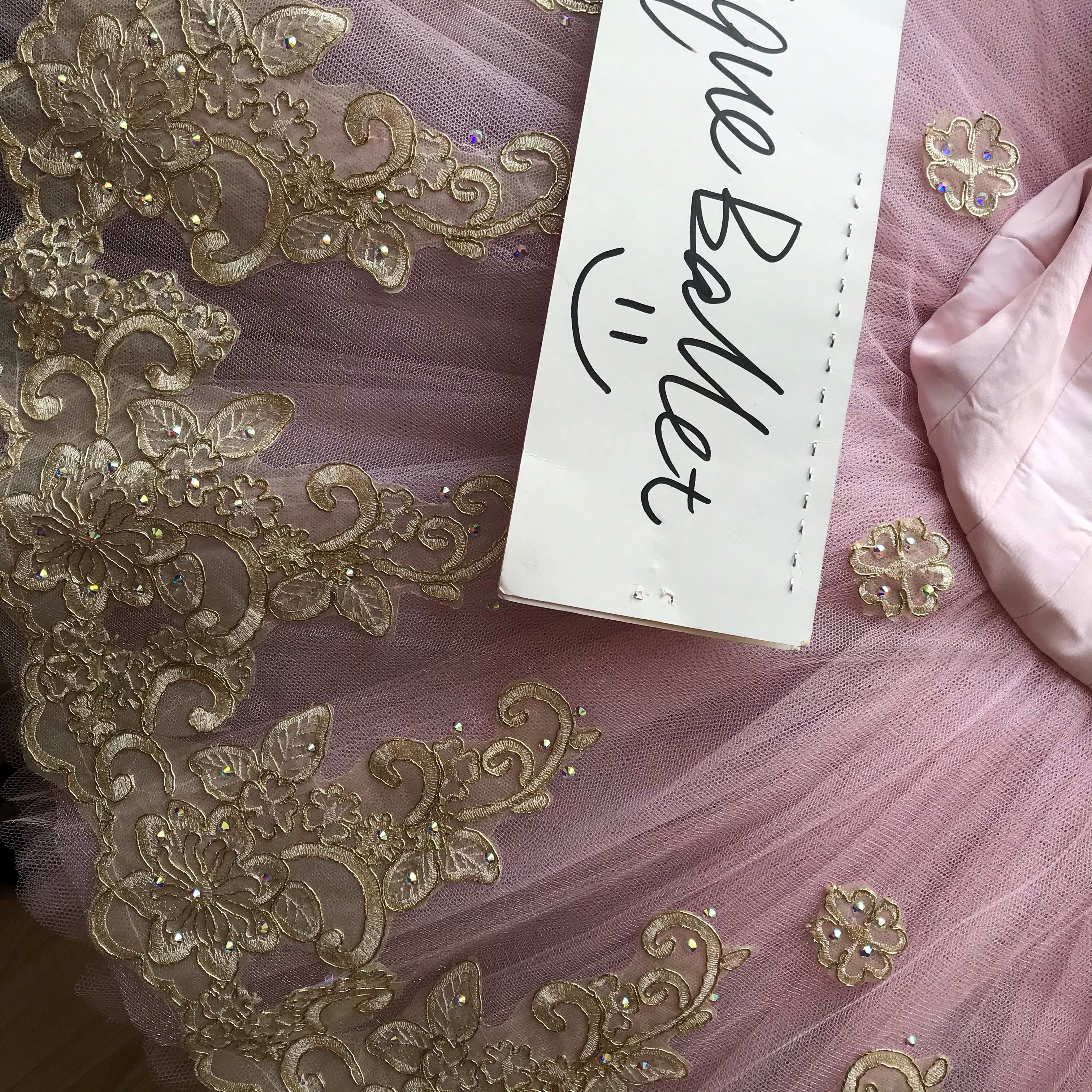 Professional Pink Sleeping Beauty Princess Aurora Classic Ballet TuTu Costume With Hooks