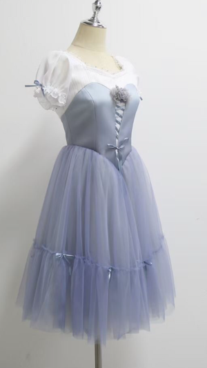 Professional Giselle Gray Blue Peasant Ballet Long Romantic Tutu Dress YAGP TuTu Costume