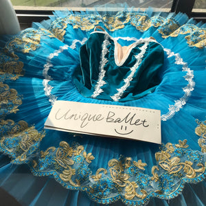 Sky Blue Golden Trims Classic Ballet TuTu Costume (Unprofessional)-5CSKYBLUVEL