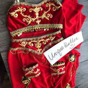 2 Pieces Red Arabian Dance La Bayadere Nikija Indian Crop Top and  Pants Ballet Costume-YL-PANTRED