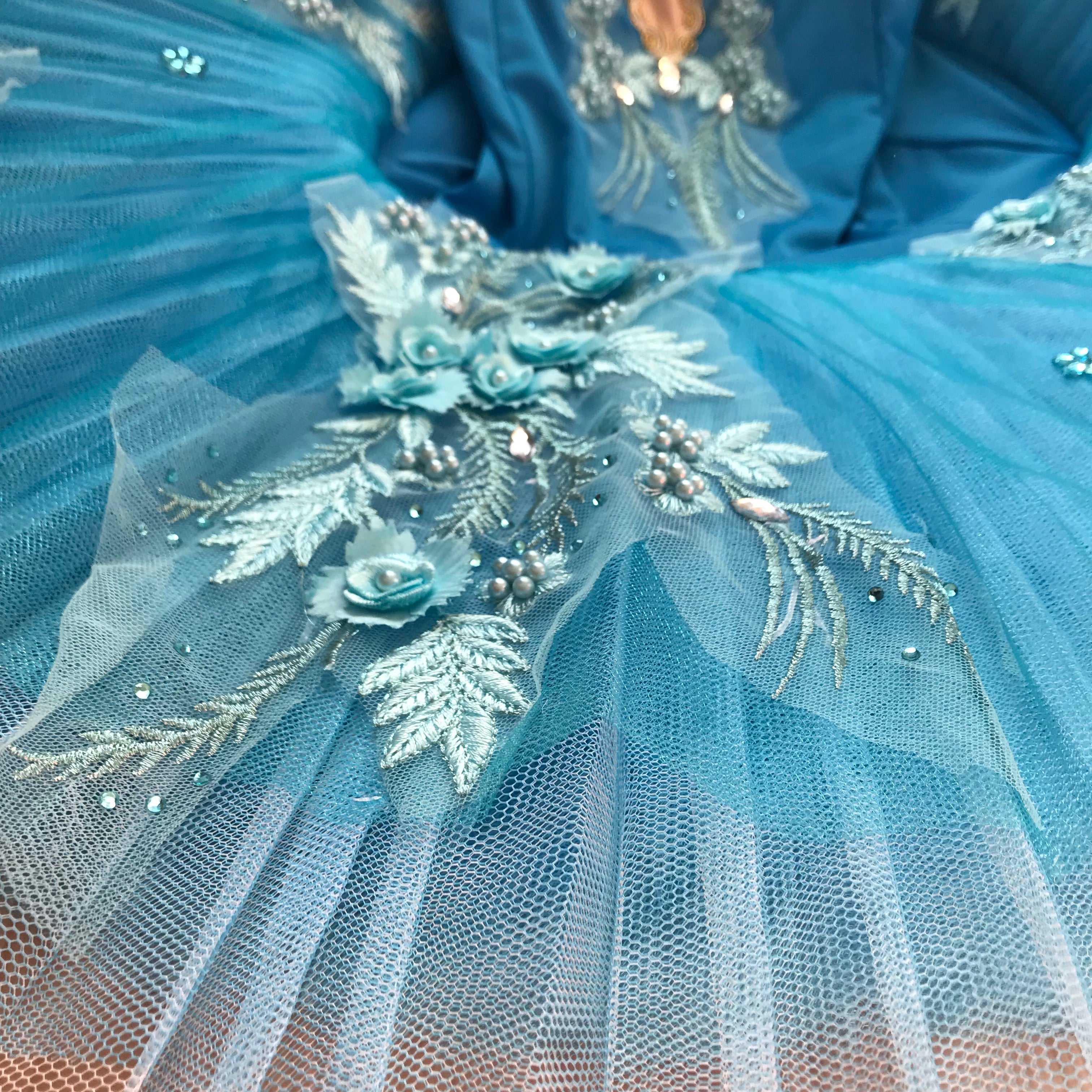 Sky Blue Sleeping Beauty Floweral Classic Ballet TuTu Costume (Unprofessional)-5CLGTBLU3DROS