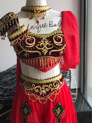 2 Pieces Red La Bayadere Nikija Indian Crop Top and Pants Ballet Costume Set Arabian Dance Wear YAGP Costume