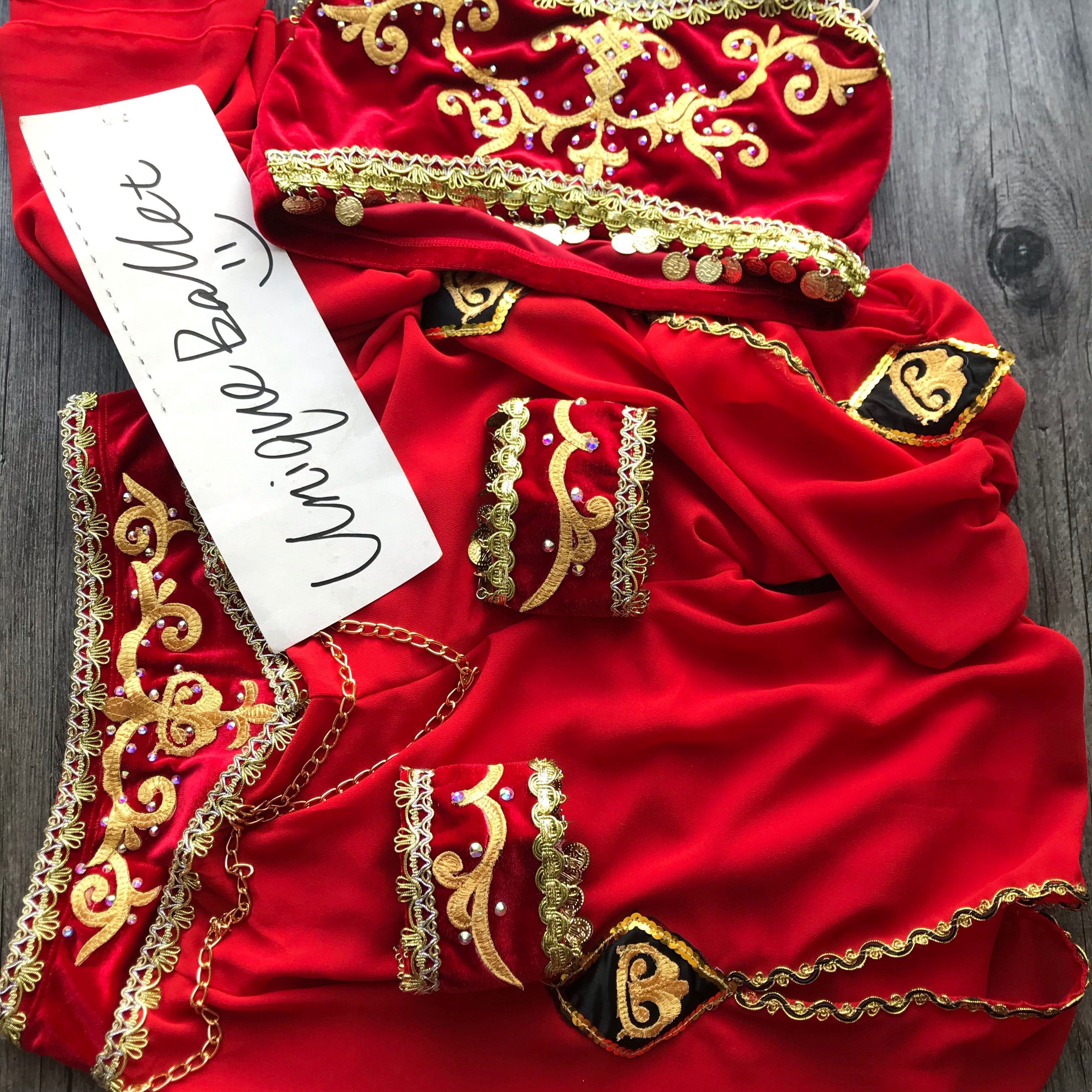 2 Pieces Red Arabian Dance La Bayadere Nikija Indian Crop Top and  Pants Ballet Costume-YL-PANTRED