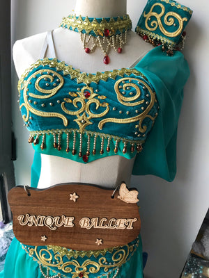 2 Pieces Aqua Green Arabian Dance La Bayadere Nikija Princess Jasmine  Indian Crop Top and Pants Ballet Costume Set