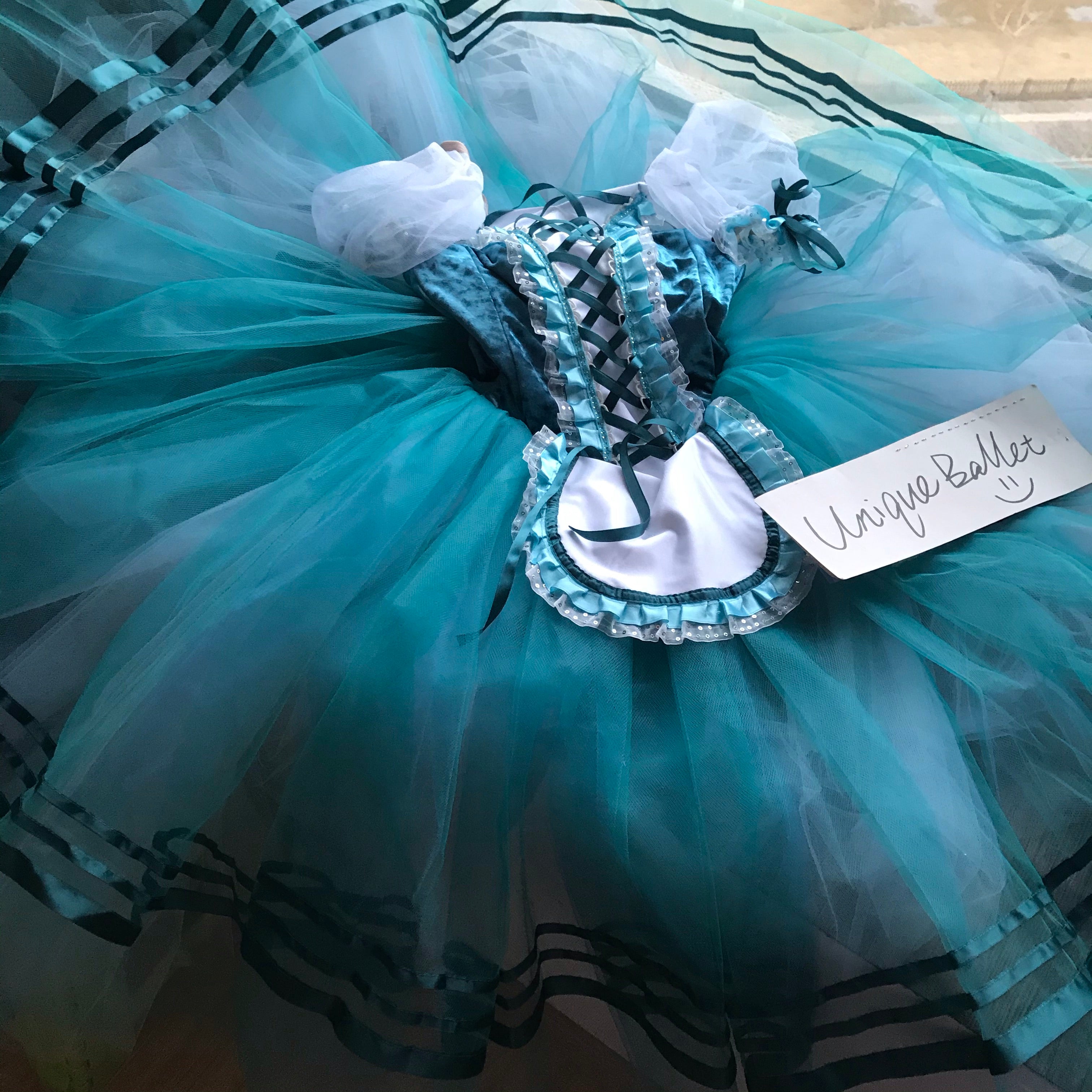 Green Blue Giselle Professional Romantic Ballet TuTu Hooks Long Dress Peasant Costume