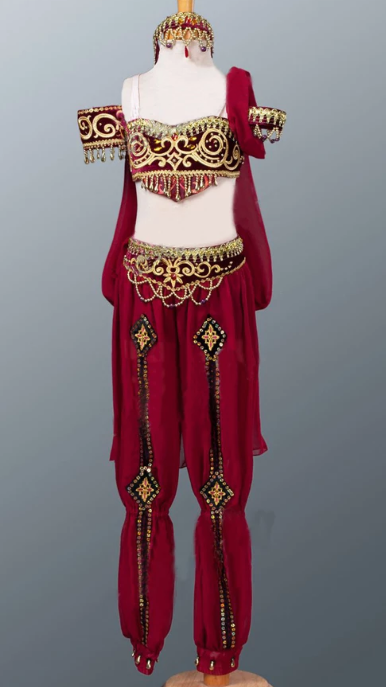 2 Pieces Burgandy Win Red Arabian Dance La Bayadere Nikija Indian Crop Top and Pants Ballet Costume