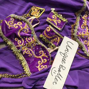 2 Pieces Purple Arabian Dance La Bayadere Nikija Indian Crop Top and  Pants Ballet Costume-YL-PANTPURPL