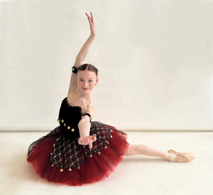 Professional Red La Esmeralda Soft Tulle Bell Pancake Ballet TuTu Costume